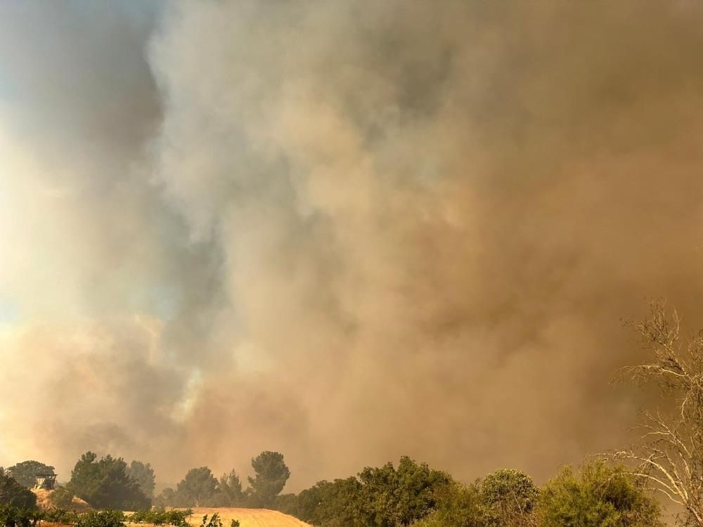 Yangın felaketinde son durum: "Gökyüzü mavi değil, güneşin bile rengi değişti" - 31