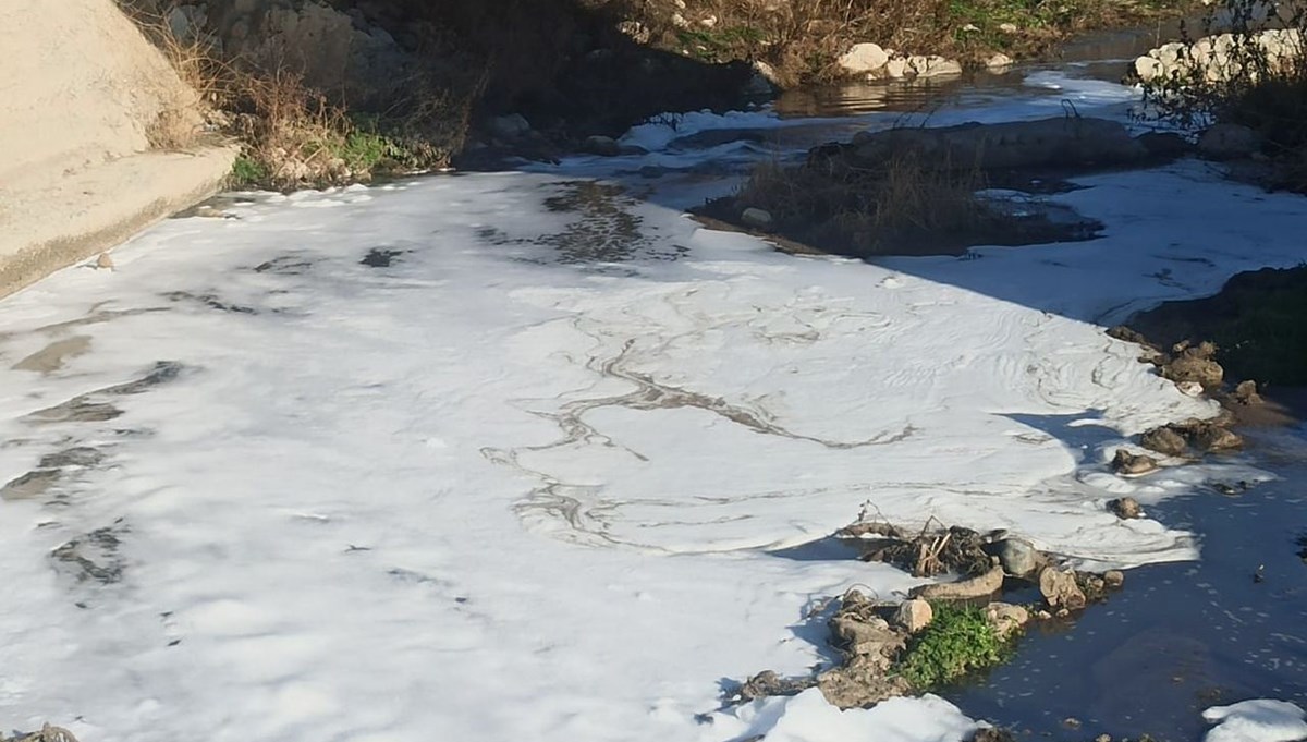 Amasya'da köpüren Tersakan Çayı'nda inceleme başlatıldı