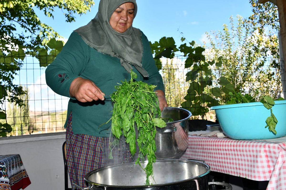 oPtJWuElDEqkqntOO28Ysg.jpg