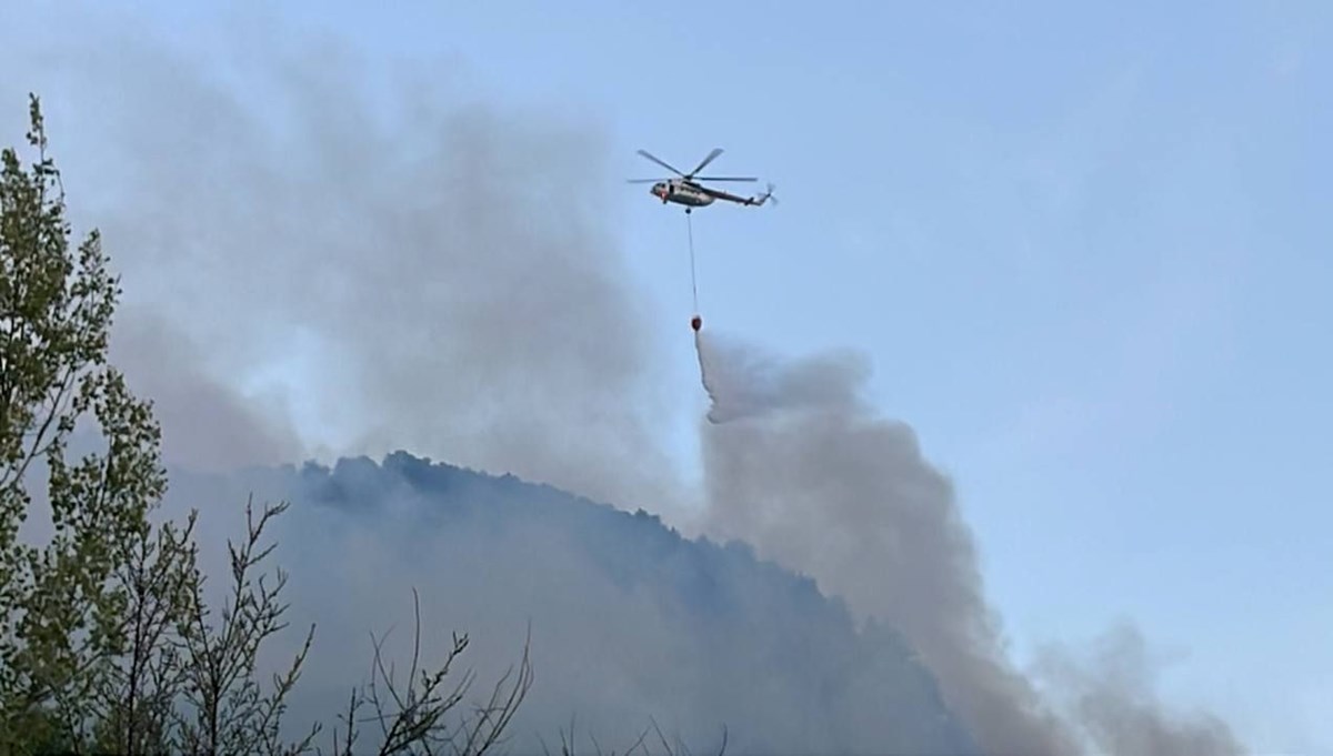 Safranbolu'da orman yangını Safranbolu'da orman yangını