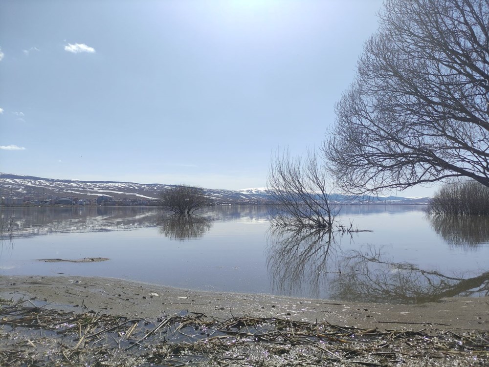 Buzlar Çözüldü, Kura Coştu: Ardahan Ovası Suyla Dans Ediyor 72