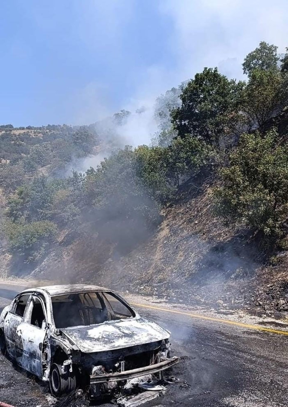 Aydın’da otomobilde çıkan yangın ormana sıçradı - 1