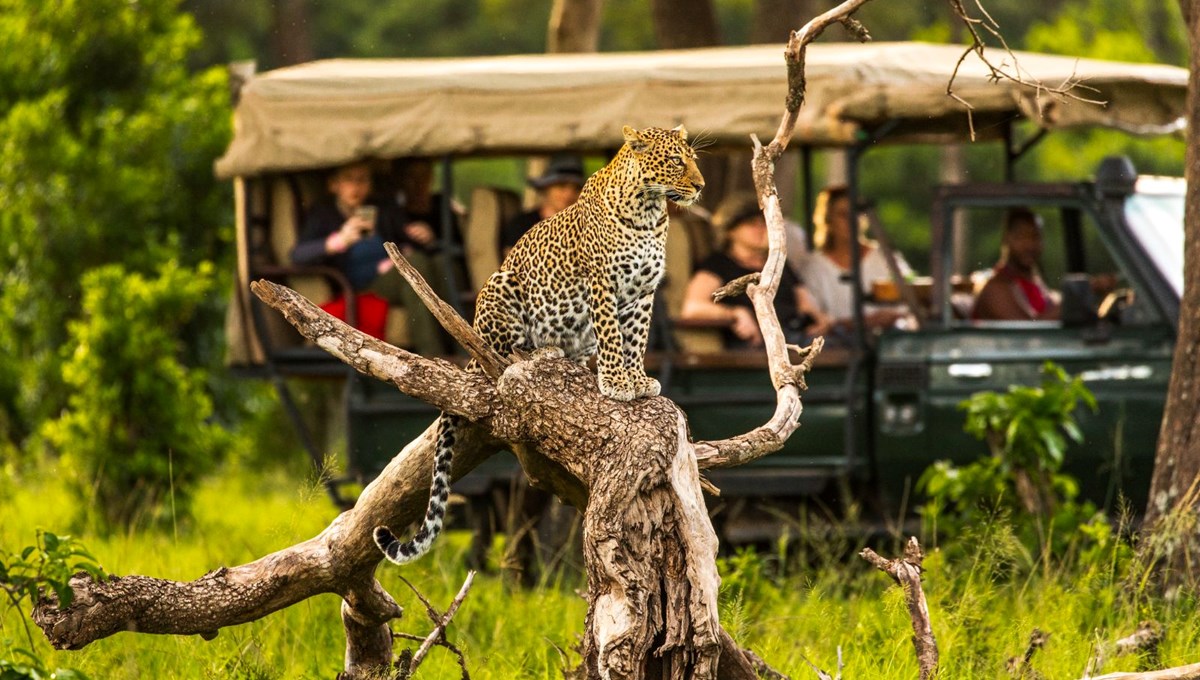 Kenya dünyanın her yerinden turistlere vizeyi kaldırdı