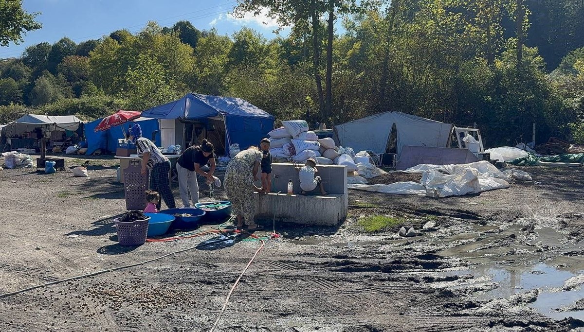 Köy köy dolaşıp boş fındık avına çıkıyorlar: Çuvalı 100 TL'den alıcı buluyor