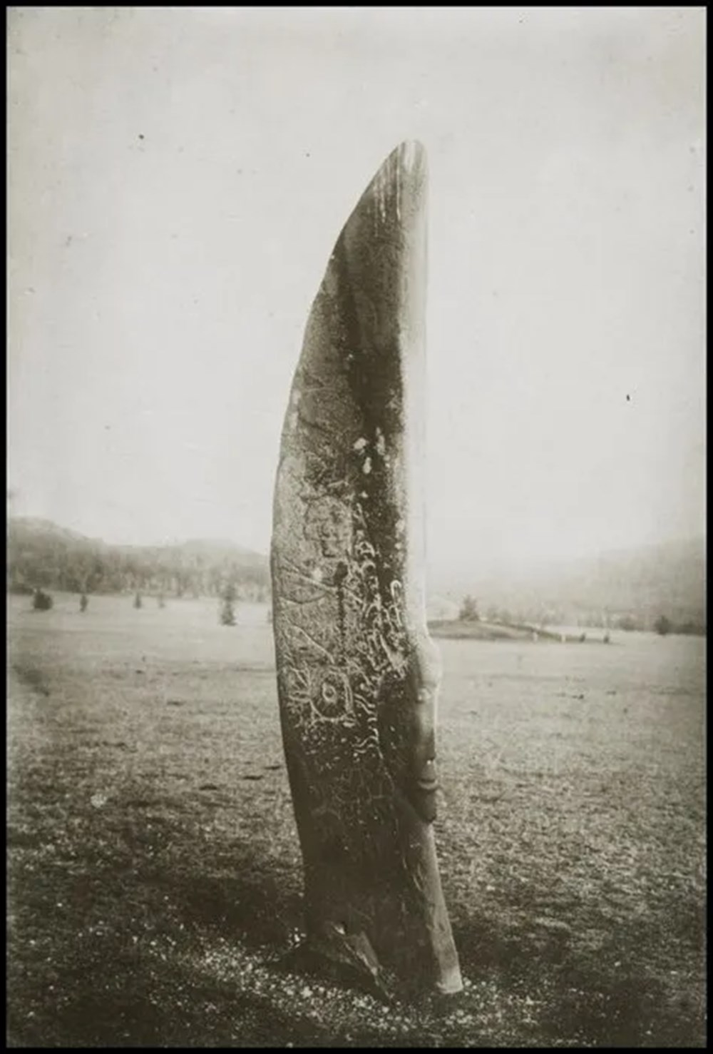 Bilim kurgu değil Türk boylarının 111 yıllık fotoğrafları. Gizemli heykeller, gelişmiş aletler, tanıdık kıyafetler (106 fotoğrafla gizemli Türk tarihi) - 1