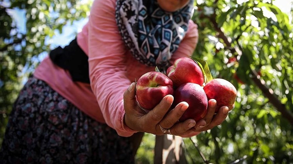 Türkiye'nin 10 lezzeti daha AB'de tescil yolunda - 5
