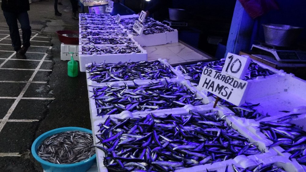 Karadeniz'de hamsi bolluğu: Fiyatlar düştü - 9