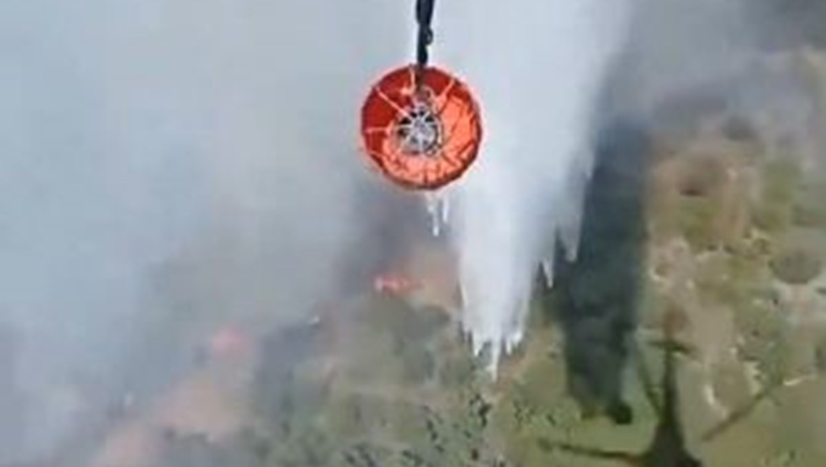 Adana ve İzmir'de orman yangını: Havadan ve karadan müdahale ediliyor