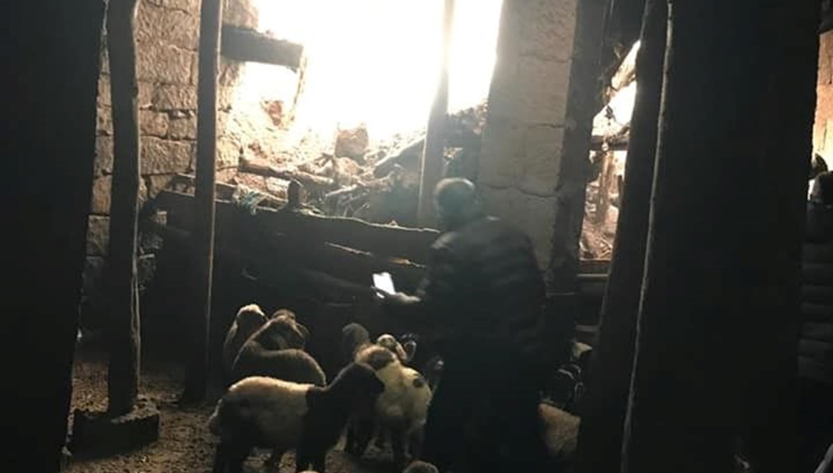 Bitlis'te ağıl çöktü: 20 hayvan telef oldu Bitlis'te ağıl çöktü: 20 hayvan telef oldu