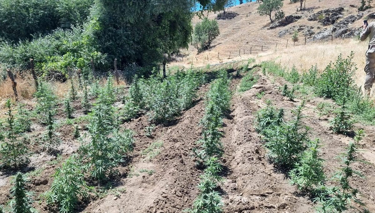 Bingöl'de uyuşturucu operasyonu