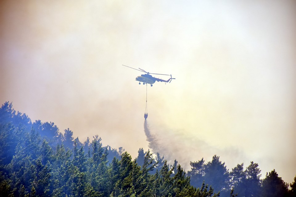 Alanya'da orman yangını - 2