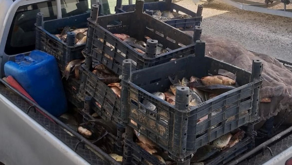 Kaçak avlanan 700 kilogram balığa el konuldu Kaçak avlanan 700 kilogram balığa el konuldu