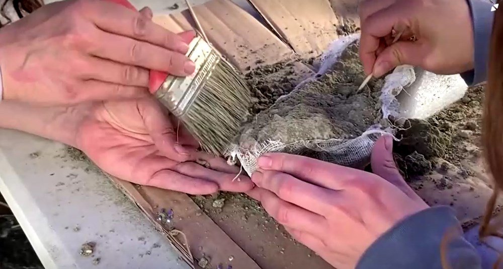 Şili'de 12 bin yıl öncesine ait fil kalıntıları bulundu - 3