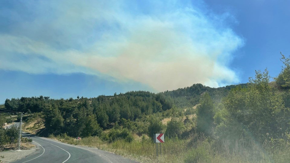 Kahramanmaraş'ta orman yangını - 2