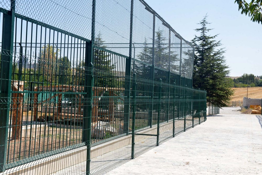 Komşular kükremelerden rahatsız - 2