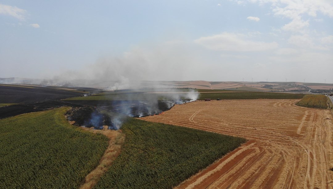 Tekirdağ’da anız yangını: 500 dönüm zarar gördü