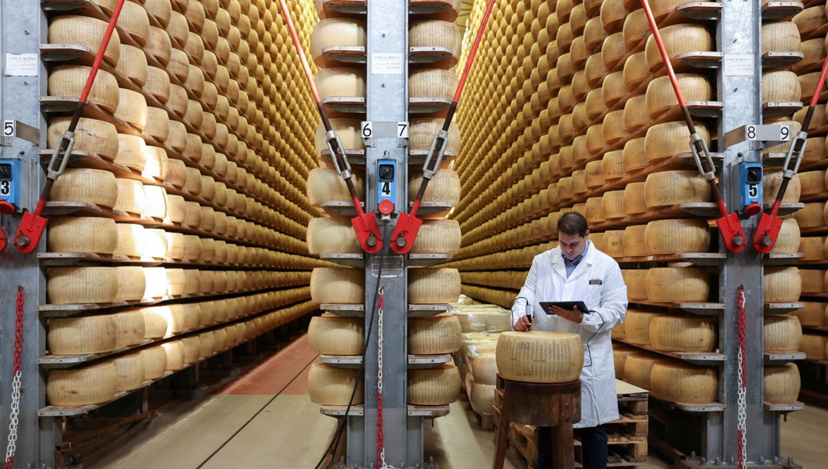Mikroçipli peynir üretilmeye başlandı: İtalya'dan sahte parmesan peynirine önlem