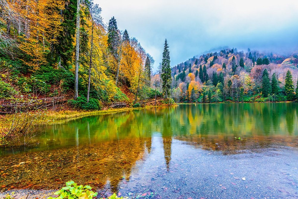 Doğu Karadeniz'in saklı cennetleri (Yayla tatili önerileri) - 2