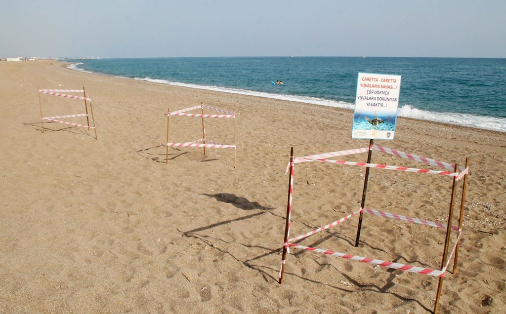 Caretta yuvalama alanına ATV ile daldılar - 5
