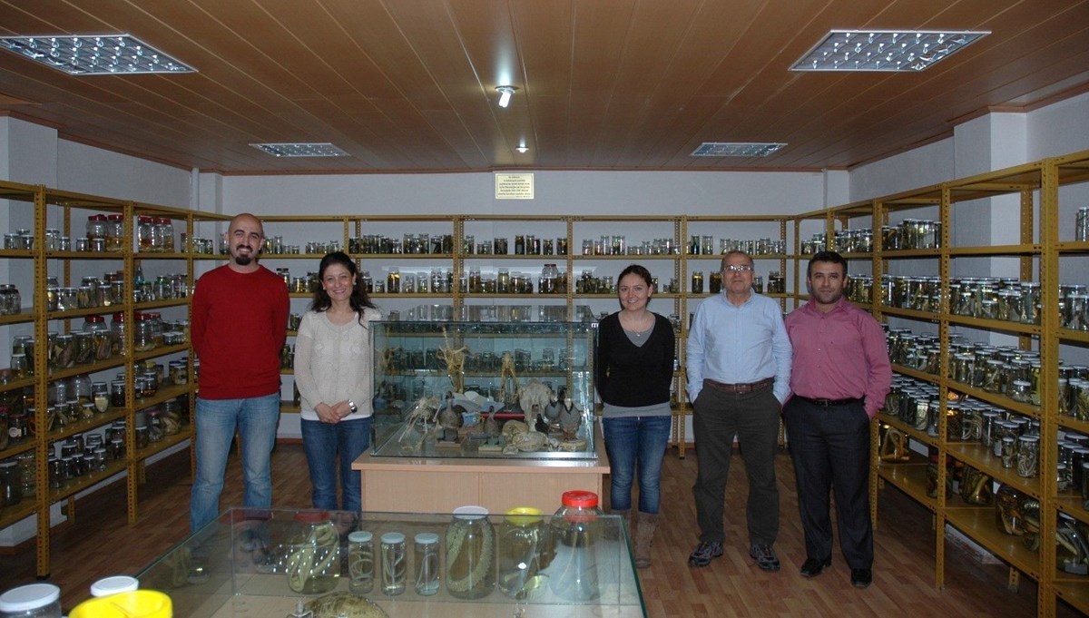 Türk akademisyenler yeni bir bakteri türü keşfetti Türk akademisyenler yeni bir bakteri türü keşfetti