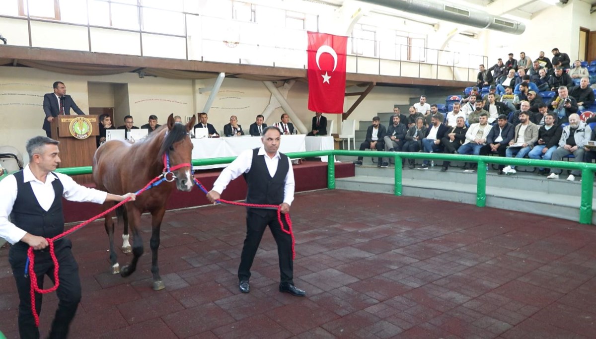 Hızlı Yasin'den tüm zamanların rekoru! Tam 10 milyon 500 bin lira Hızlı Yasin'den tüm zamanların rekoru! Tam 10 milyon 500 bin lira