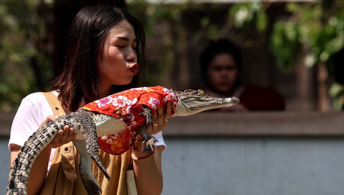 Tayland'daki Timsah Çiftliği 3 yıl sonra yeniden açıldı