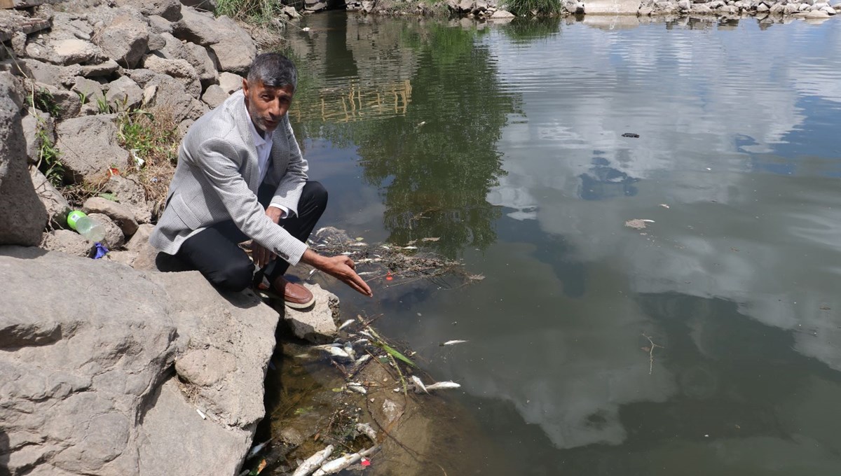 Dicle Nehri'nde korkutan görüntü