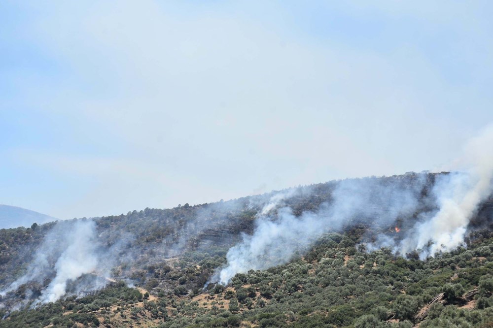 İzmir'de orman yangınları kontrol altına alındı - 6