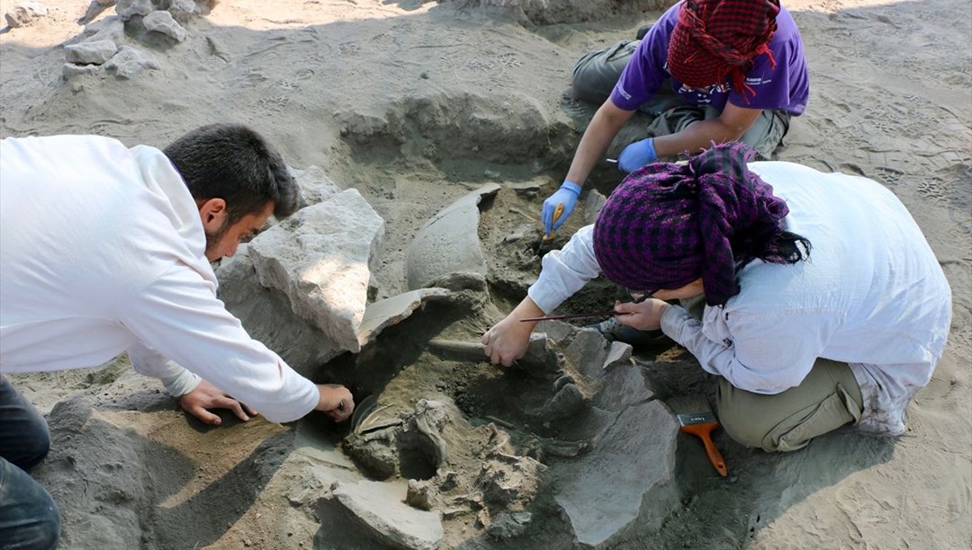 Eskişehir Küllüoba Höyüğü'nde 5 bin yıllık küp mezarlarda çocuk iskeletleri bulundu - Vimarsana News