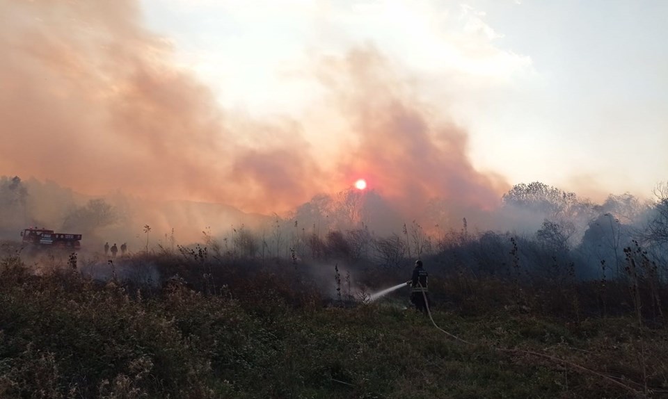 Muğla'da sazlık alanlarda yangın - 1