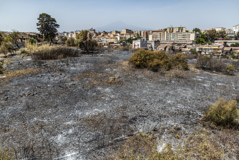 Akdeniz alev aldı: Yunanistan ve İtalya’da orman yangınları sürüyor - 15