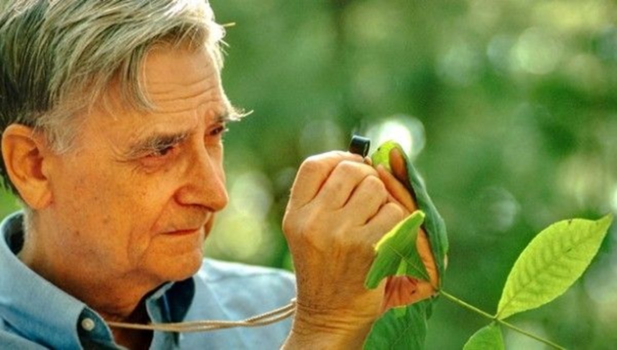 Charles Darwin’in varisi olarak anılan doğa bilimci Edward Osborne Wilson hayatını kaybetti
