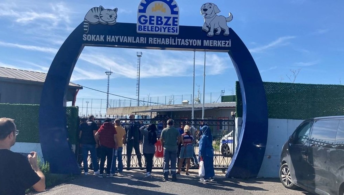 Gebze'deki kedi ve köpek katliamının otopsi sonucu belli oldu Gebze'deki kedi ve köpek katliamının otopsi sonucu belli oldu