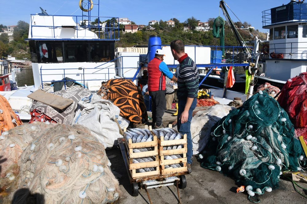 Palamut bolluğu yaşanan Karadeniz'de balıkçıların mayın endişesi - 5