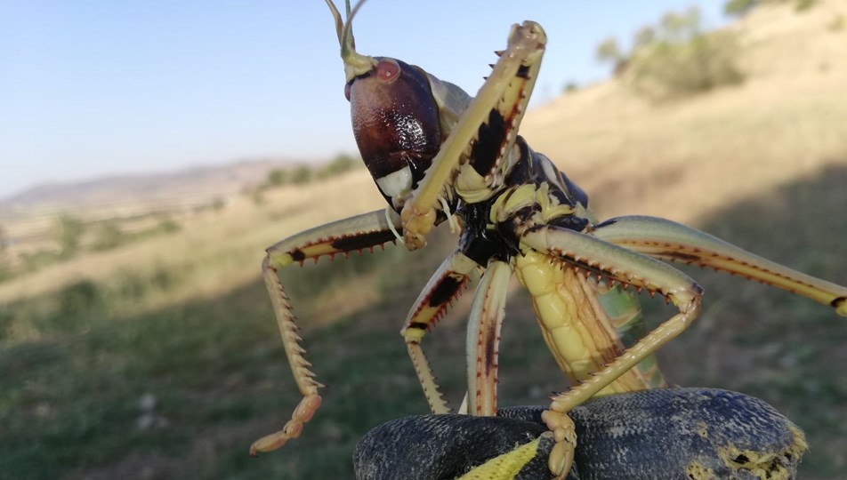 https www ntv com tr galeri turkiye 19 mayis resmi tatil mi 2021 resmi tatil takvimi 6foucfyrh0kclnqbe6vhuw