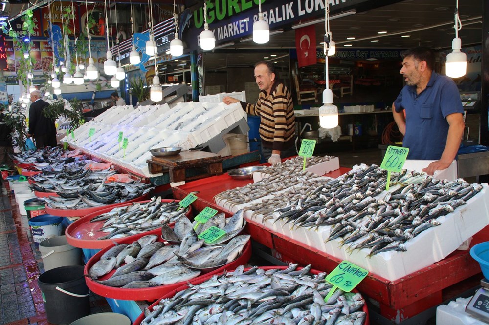 Karadeniz'de palamut bolluğu: Fiyatı düştü - 1
