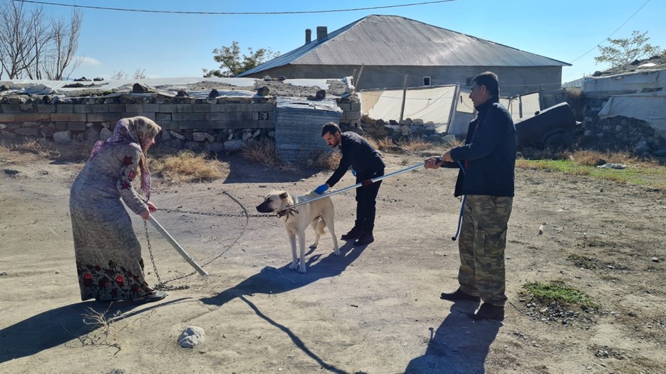Bitlis'te köpeğin ısırdığı iki çocuktan biri kuduz oldu - 2