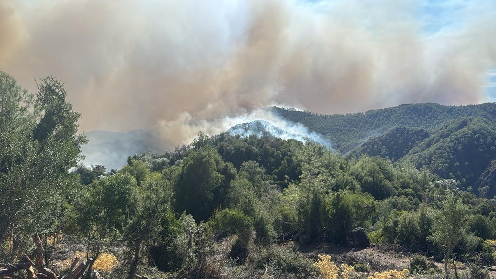 Orman yangınlarında son durum: Antalya Aksu'da iki otel boşaltıldı, Alanya'da alevler villaları tehdit ediyor - 14