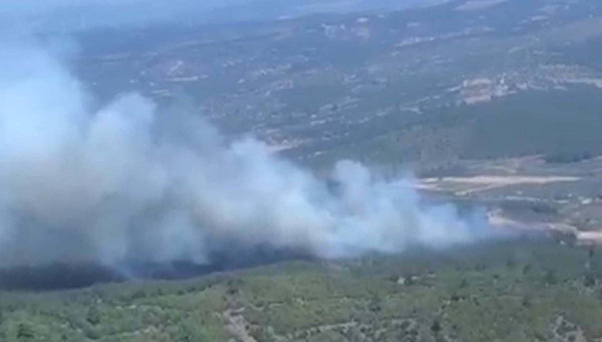 Manisa'da orman yangını