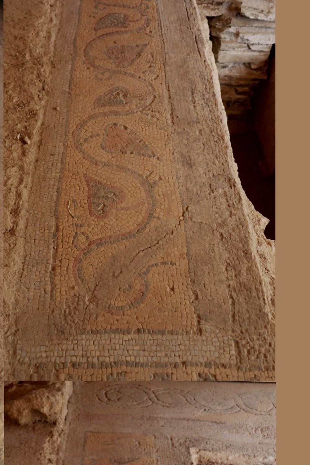 Balatlar Kazısı’nda, Zeugma'dakilere benzer mozaikler bulundu - 14