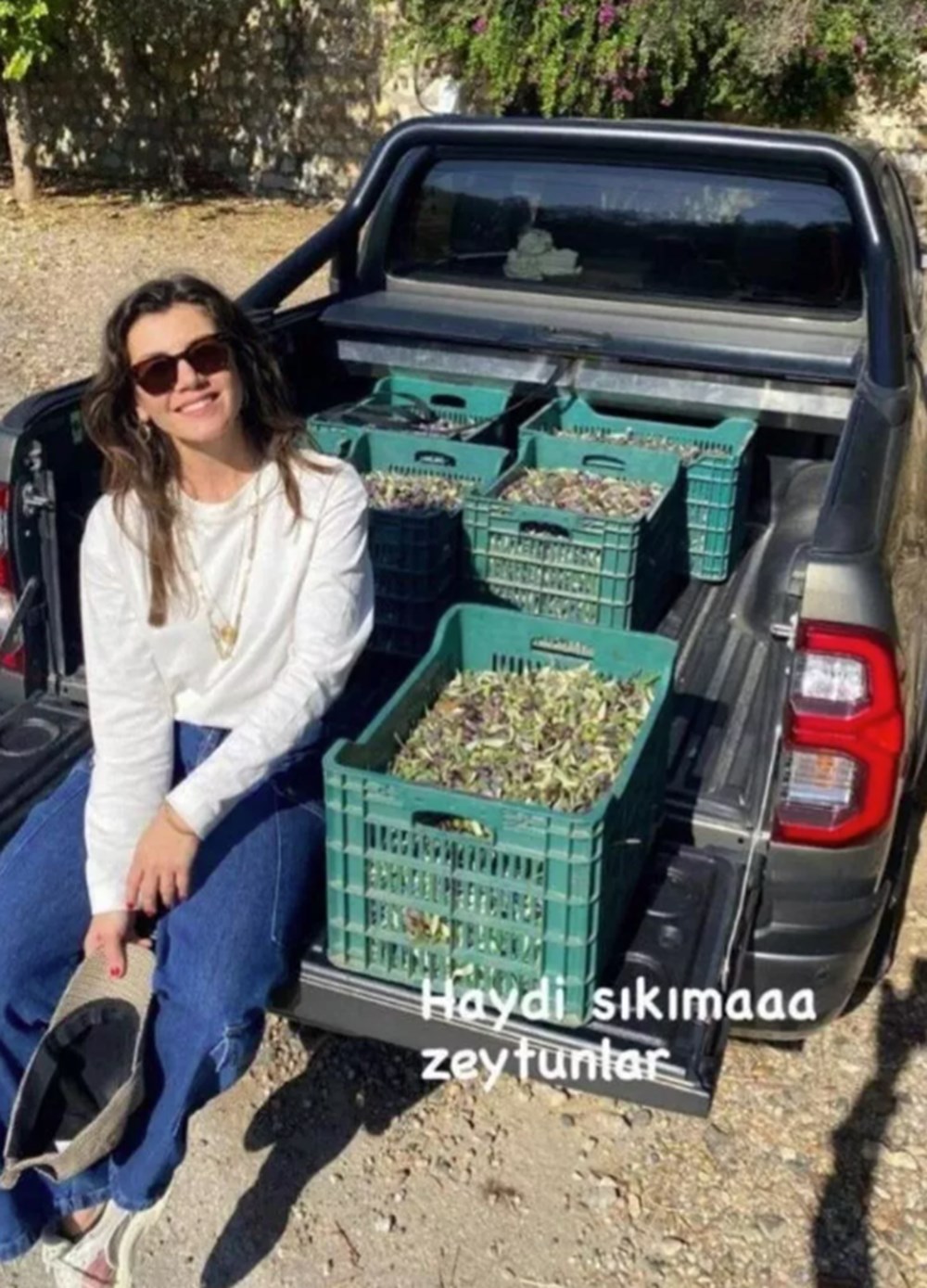 Gökçe Bahadır zeytin hasadında - 2