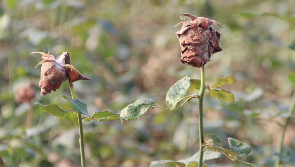 https www ntv com tr galeri ekonomi turkiyenin en zengin isimleri aciklandi forbes en zengin turkler listesi 2018 jzd3gx8tqe20abzh2eiiuw