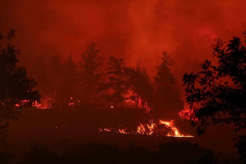 Antalya, Adana, Mersin, Muğla, Osmaniye ve Kayseri'de orman yangınları - 15