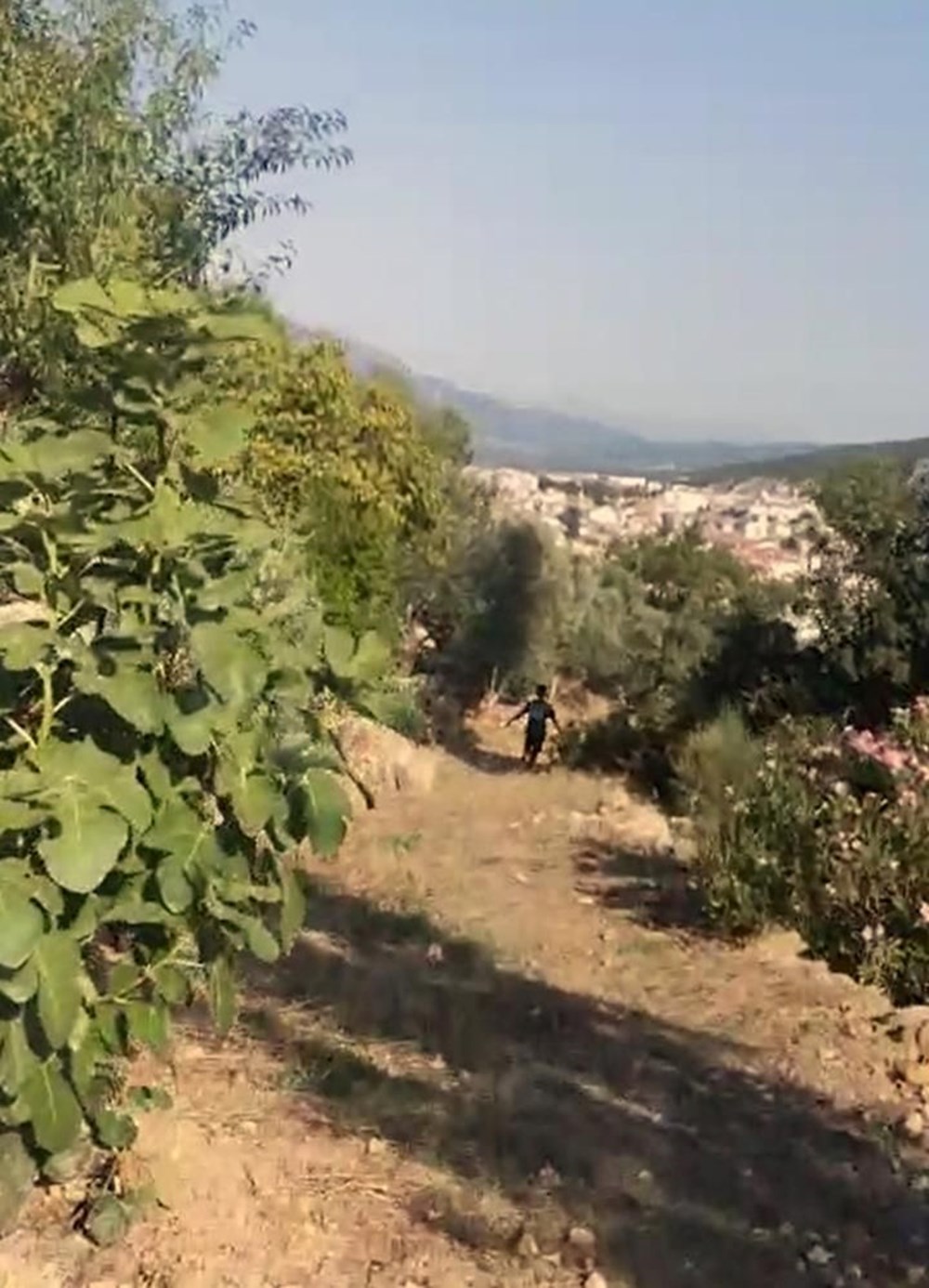 “Muğla’nın üstünde büyü var” deyip ormanı yaktı - 2