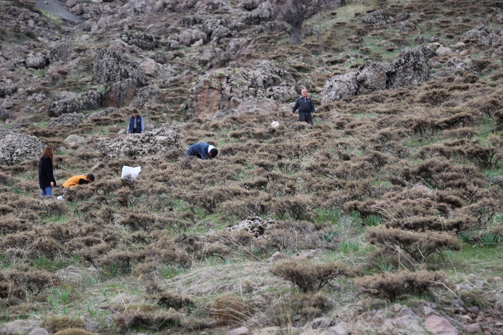 Doğanın Hazinesi: Şifa Dolu Bir Kaynak 77 owZTIUldWU2lsmIdI9X4Ww