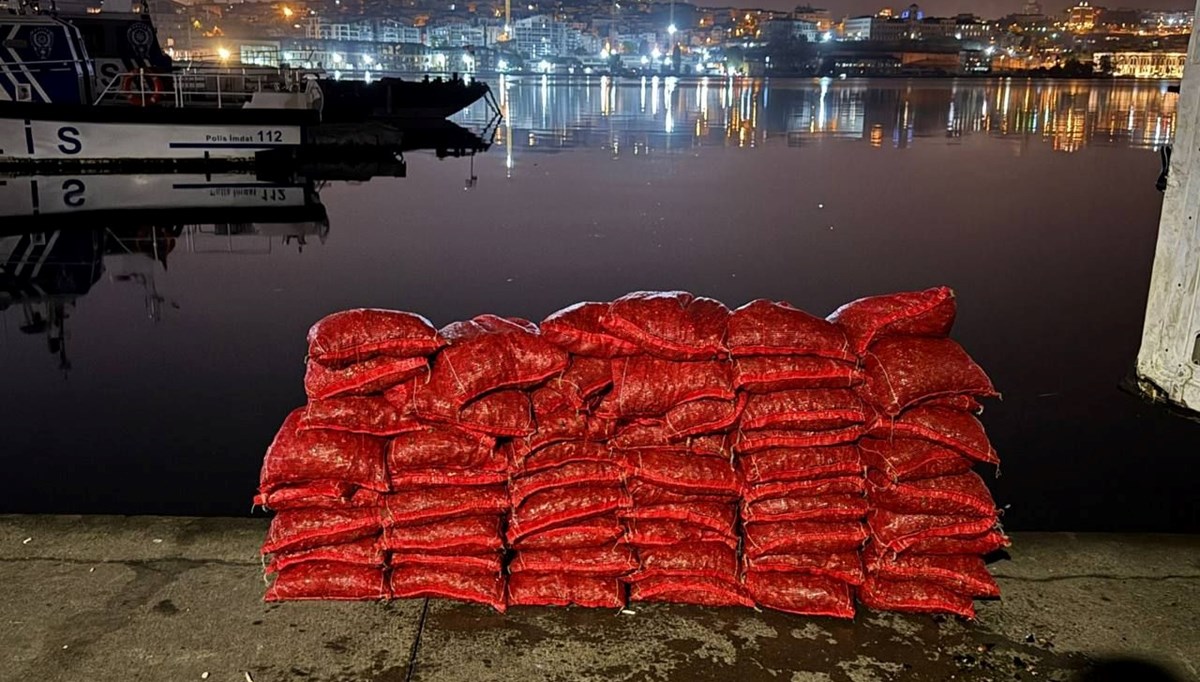 Beyoğlu'nda yasak yolla midye çıkartan kişiye 26 bin lira ceza