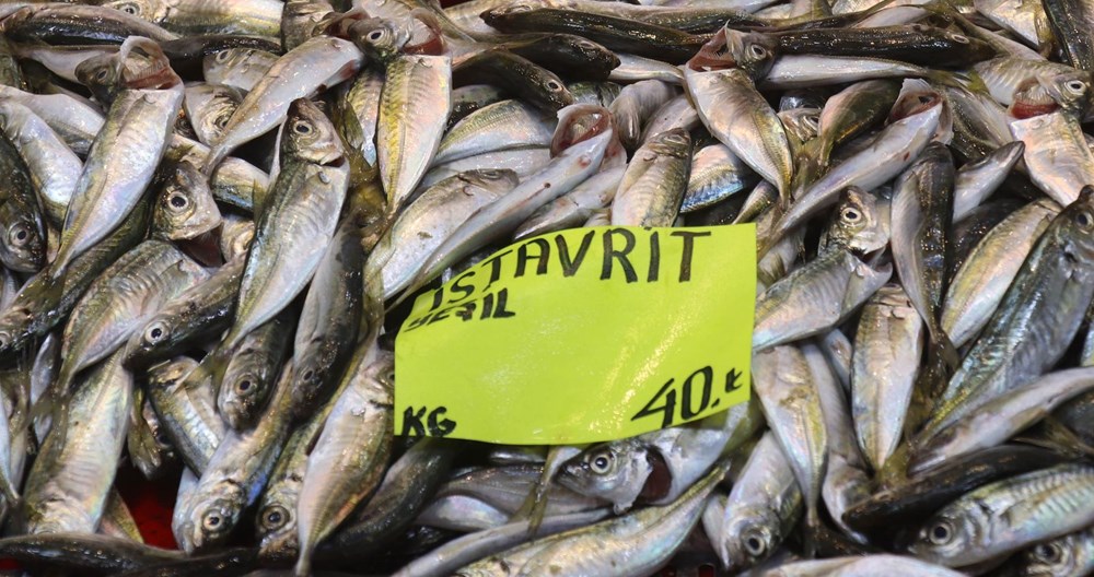 Müsilaj balıklarda zehir etkisi yaratır mı? Uzmanı yanıtladı - 4