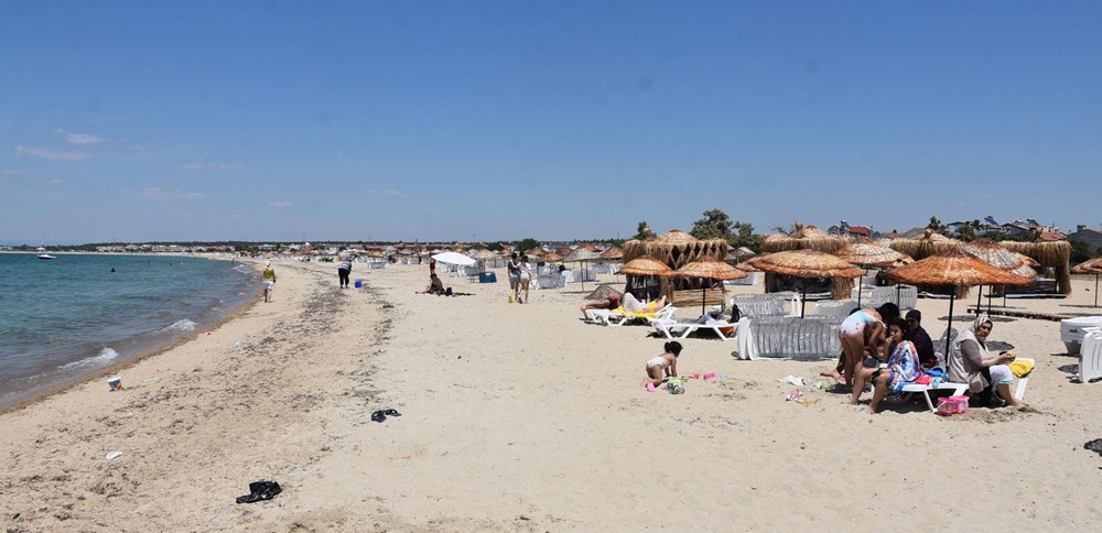 Saros Körfezi'nde uğur böceği istilası - 3