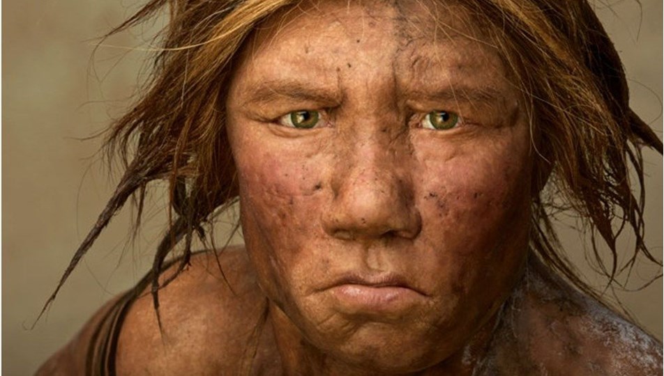 "Neandertaller alet yapmak için dalıyordu"