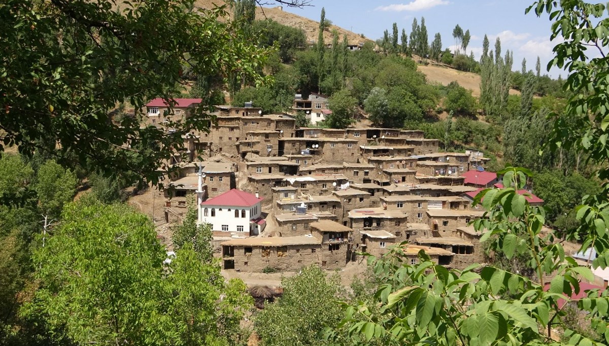 Hizan'ın 300 yıllık taş evleri görenleri kendine hayran bırakıyor